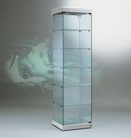 Glasvitrine, ESG Glas, Silber, LED (B.54cmxT.52cmxH.200cm)