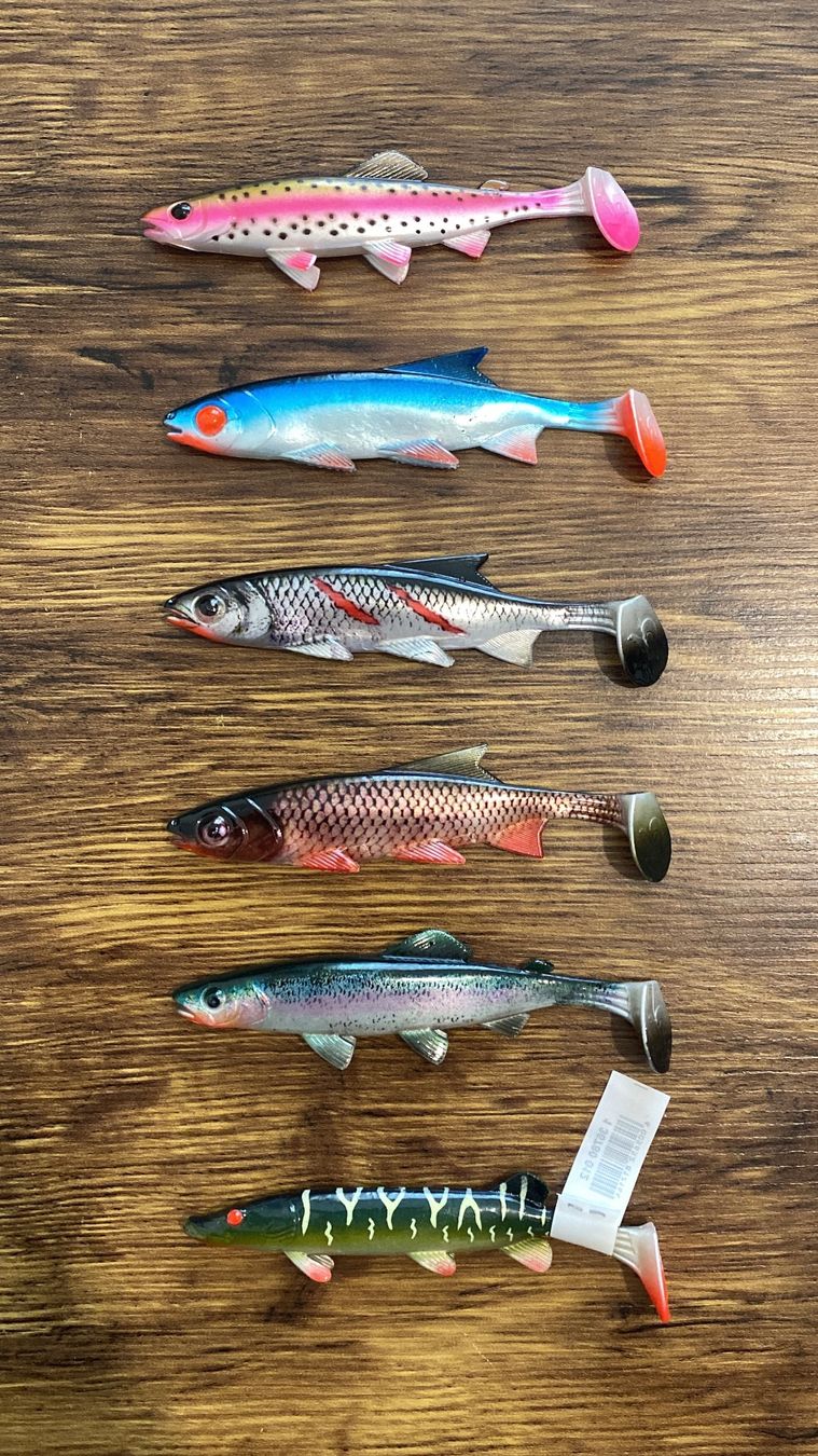 Balzer Esche: BALZER Shirasu Clone Shad 12cm Set – Nuovo (secondo la descrizione) da Widnau venduto da Fishingtackle_Oggy