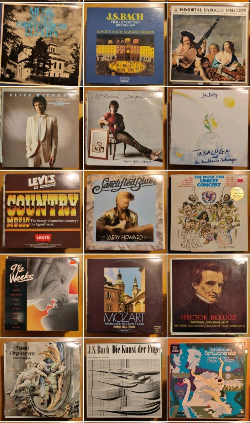 Dischi in vinile: diverse Schallplatten (2 CHF pro Stk.) – Usato da Zollikofen venduto da ayl_p5gv 1