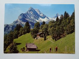 Braunwald 1977