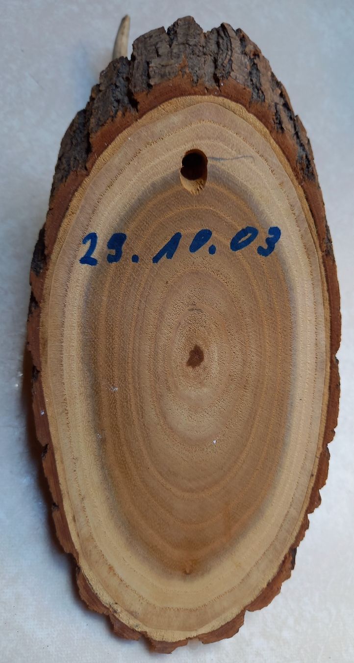 Altre raccolte & rarità: REH - GEWEIH / TROPHÄE,  von 2003 – Usato da Marbach LU venduto da Ilrebo 8