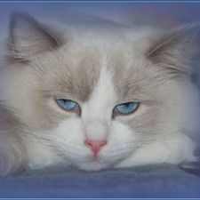 Profile image of marakesch41