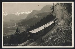 Brünigbahn mit Blick gegen Brienzersee