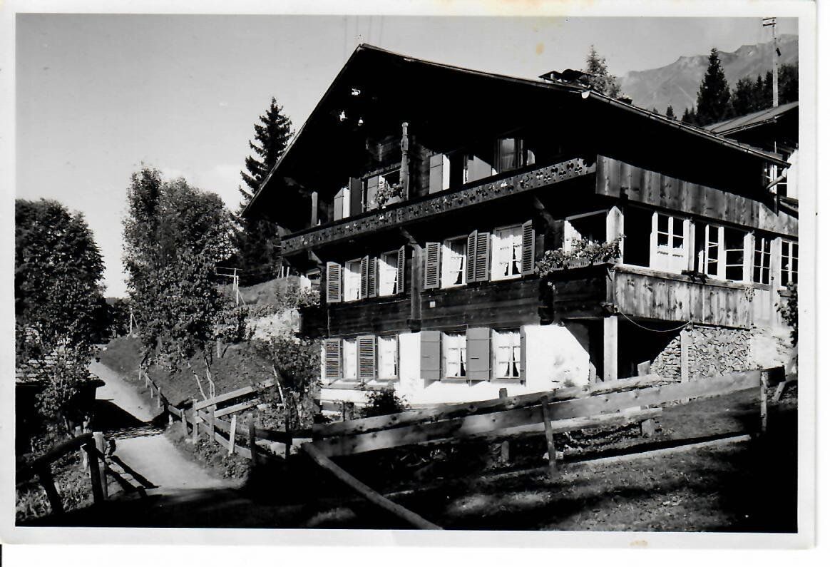 Cartoline postali: Wengen  ? – Usato da Hochdorf venduto da Ziegel-16