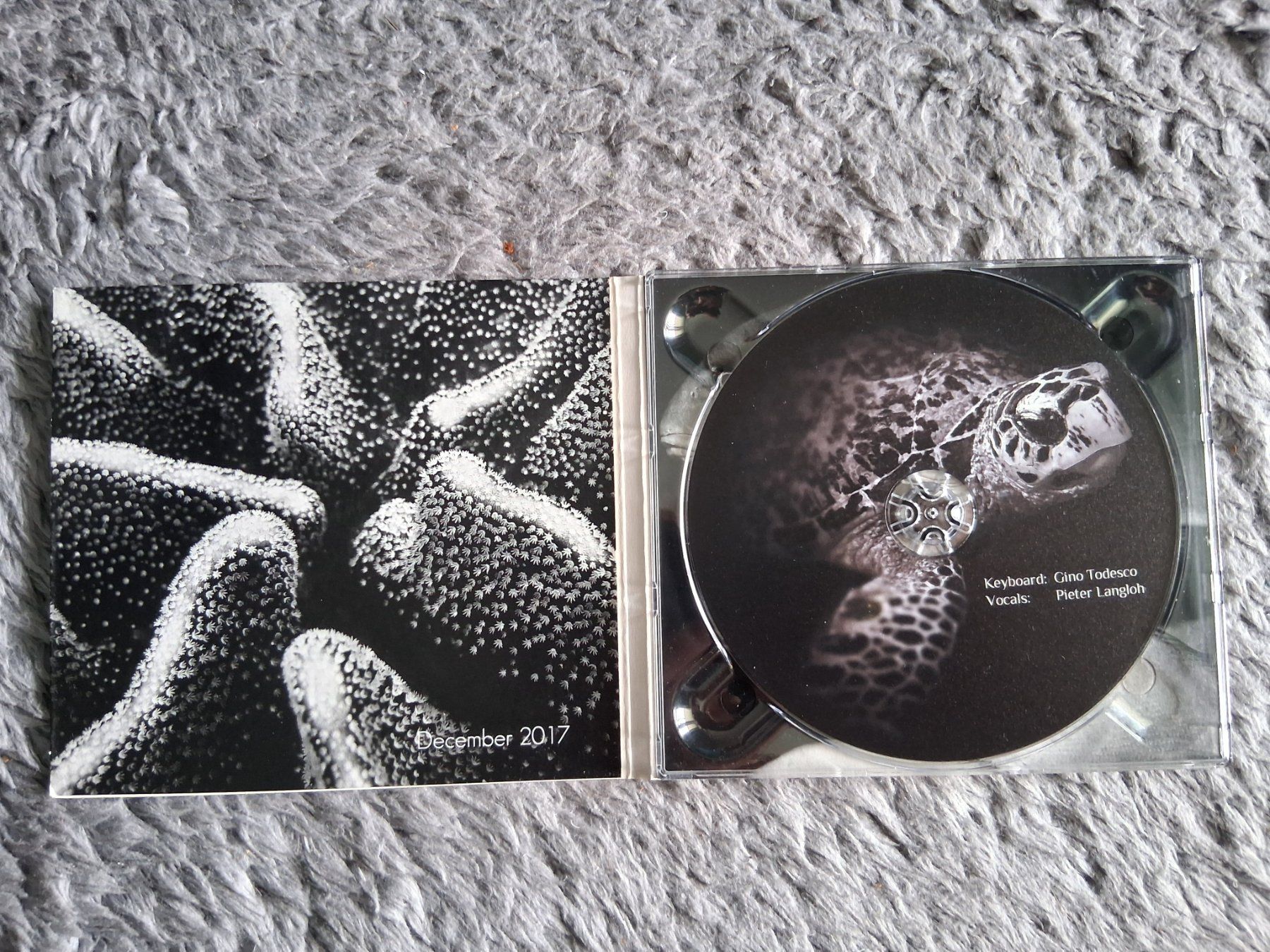 CD: GINO TODESCO  PETER LANGLOH    ALWAYS ON MY MIND    CD – Usato da Wetzikon ZH venduto da Ramones01 2