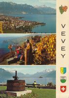 Vevey 1977