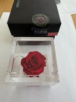 Fleur décorative (Flower cube )