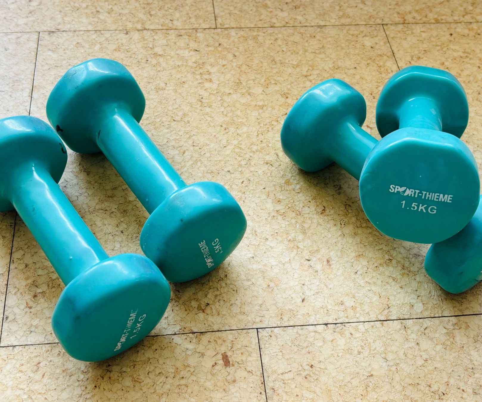 Manubri & Pesi: Kurzhanteln, 1,5kg – Usato da Küssnacht am Rigi venduto da michimove