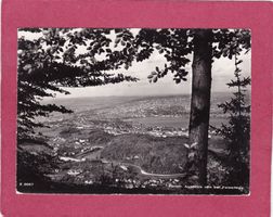 Zürich Ausblick von der Felsenegg 1960