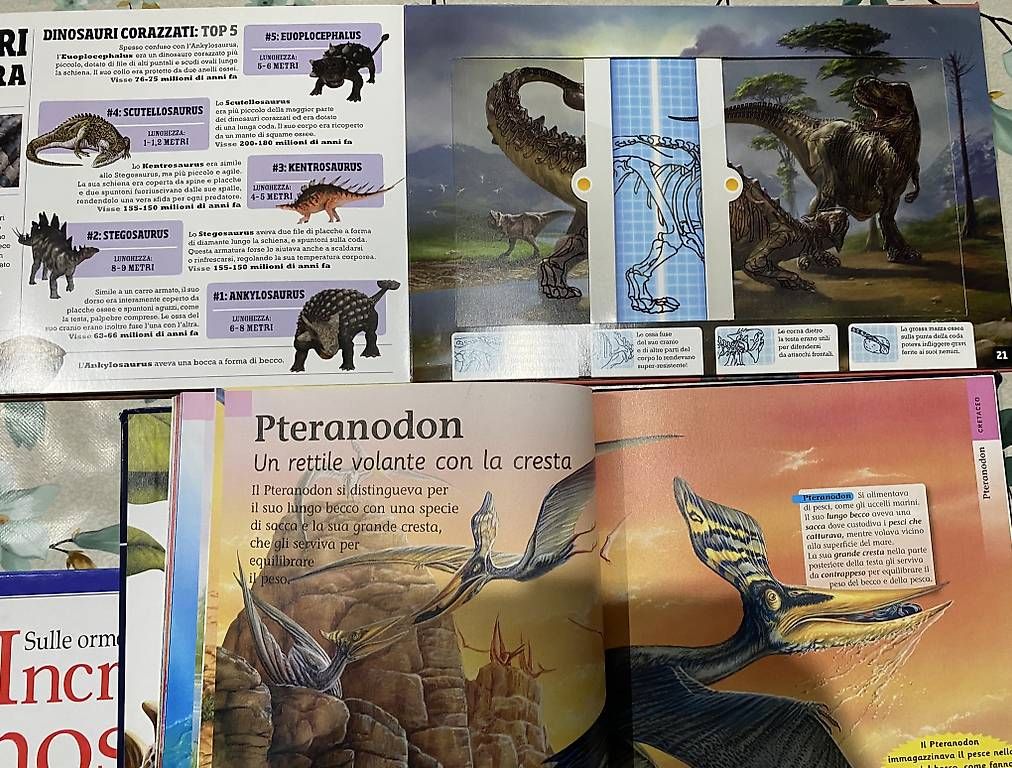 Libri: 7 libri dinosauri + libro draghi + libro puzzle – Usato da Castel San Pietro venduto da sab_lj2d 2