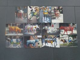 Cow Parade Zürich 1998 / 12 orig. Vintage Fotos