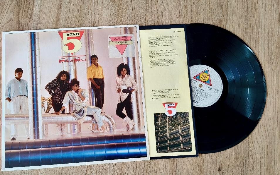 Dischi in vinile: Silk & Steel LP – Usato da Dielsdorf venduto da SHOES_BY_SYLVI 2