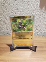 Zébibron Pokeball Reverse 031/086 Flamme Blanche