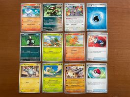 Pokemon 12er Karten Set (Versand gratis)