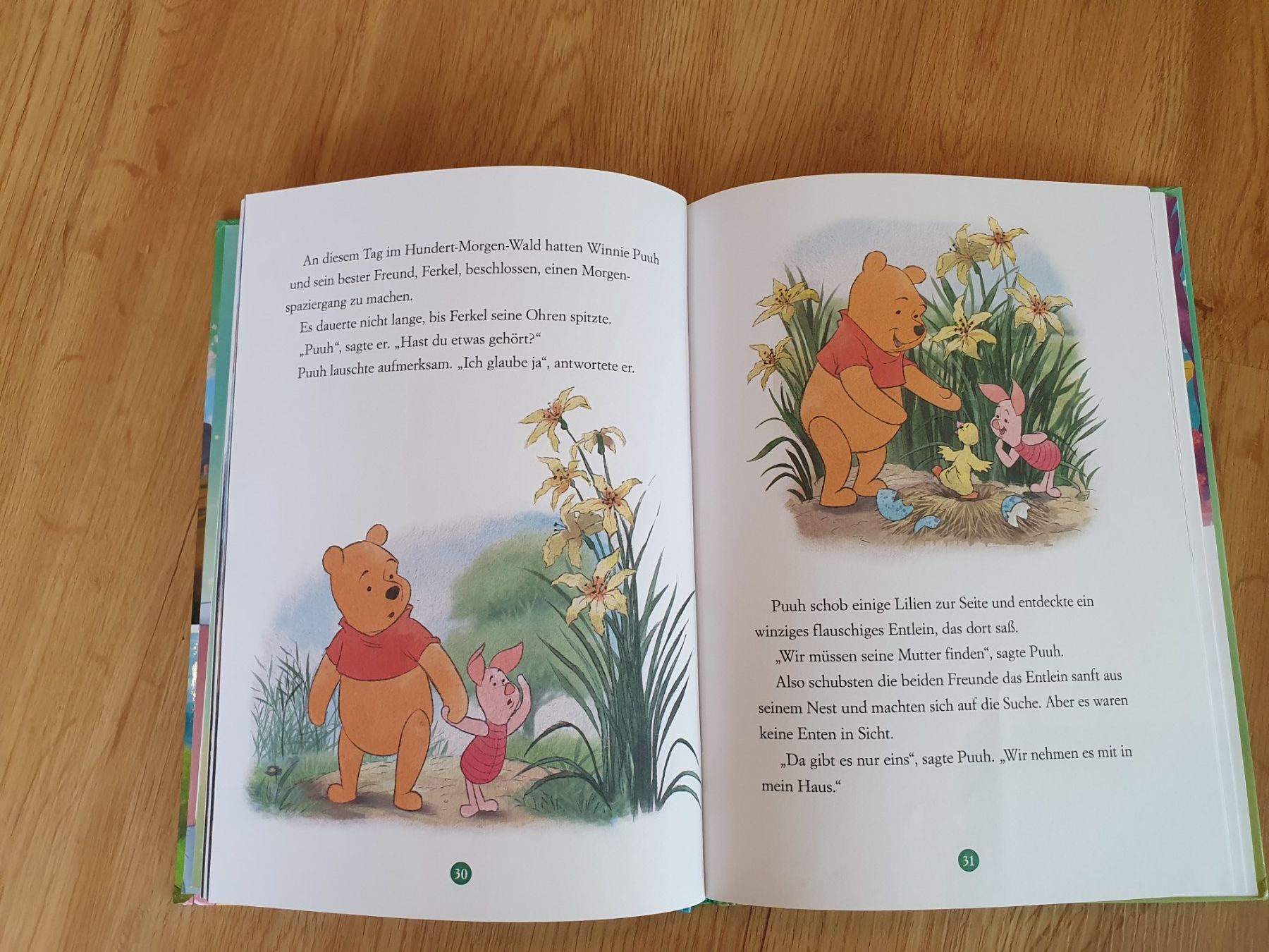 Libri: Disney - mein schönsten Tiergeschichten – Nuovo (secondo la descrizione) da Heinrichswil venduto da frankie19860 5
