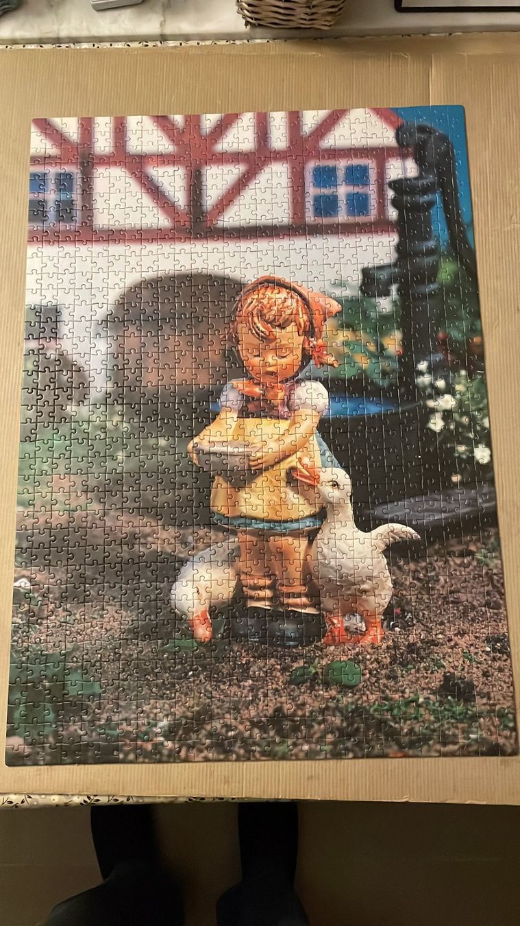 Puzzle: Puzzle Hummel Madchen mit Gans Teile 1000 – Usato da Pratteln venduto da 66werni