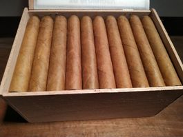 50 Cigars Woermann Classic No.340 Sumatra Coronas