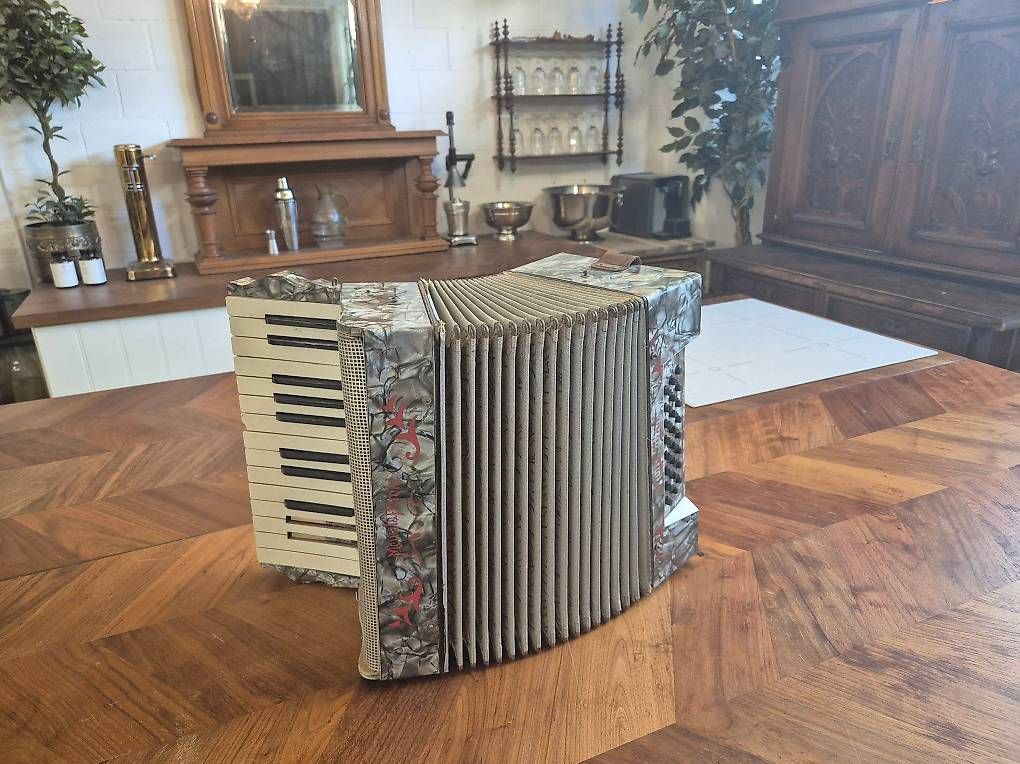 Strumenti musicali: Akkordeon – Usato da Zürich venduto da Limitless2000 2