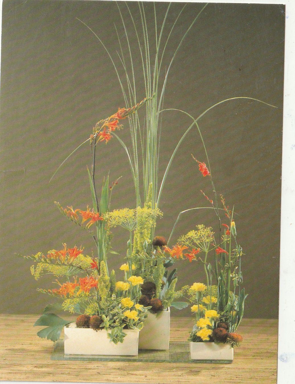 Cartoline postali: Blumenkarte – Usato da Lumbrein venduto da made02