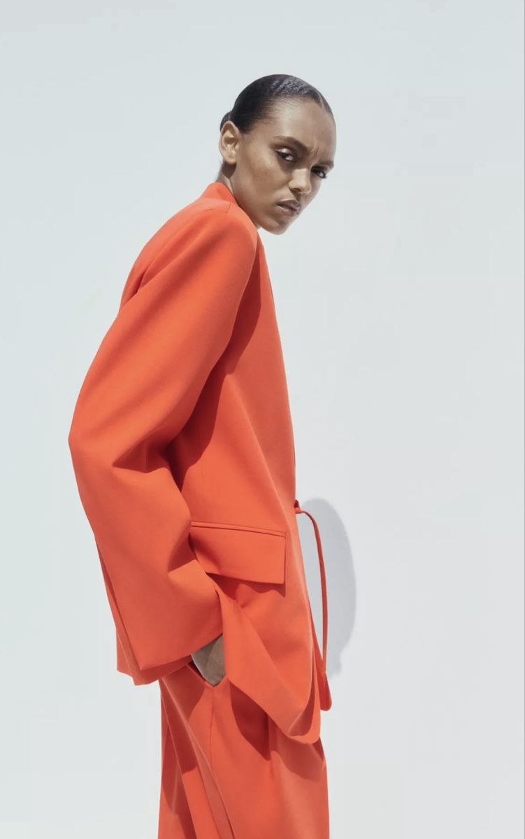 Zara Giacche: Zara blazer – Nuovo e nell'imballaggio originale da Opfikon venduto da ari_7yn2 4