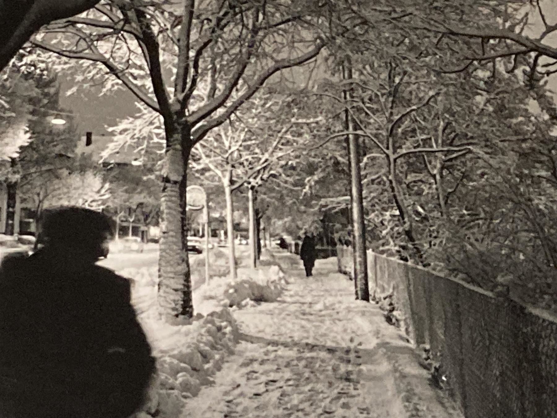 Foto & Immagini: DICKERHOF Mischa Photographie signiert – Usato da Bern venduto da Jwpm66 1
