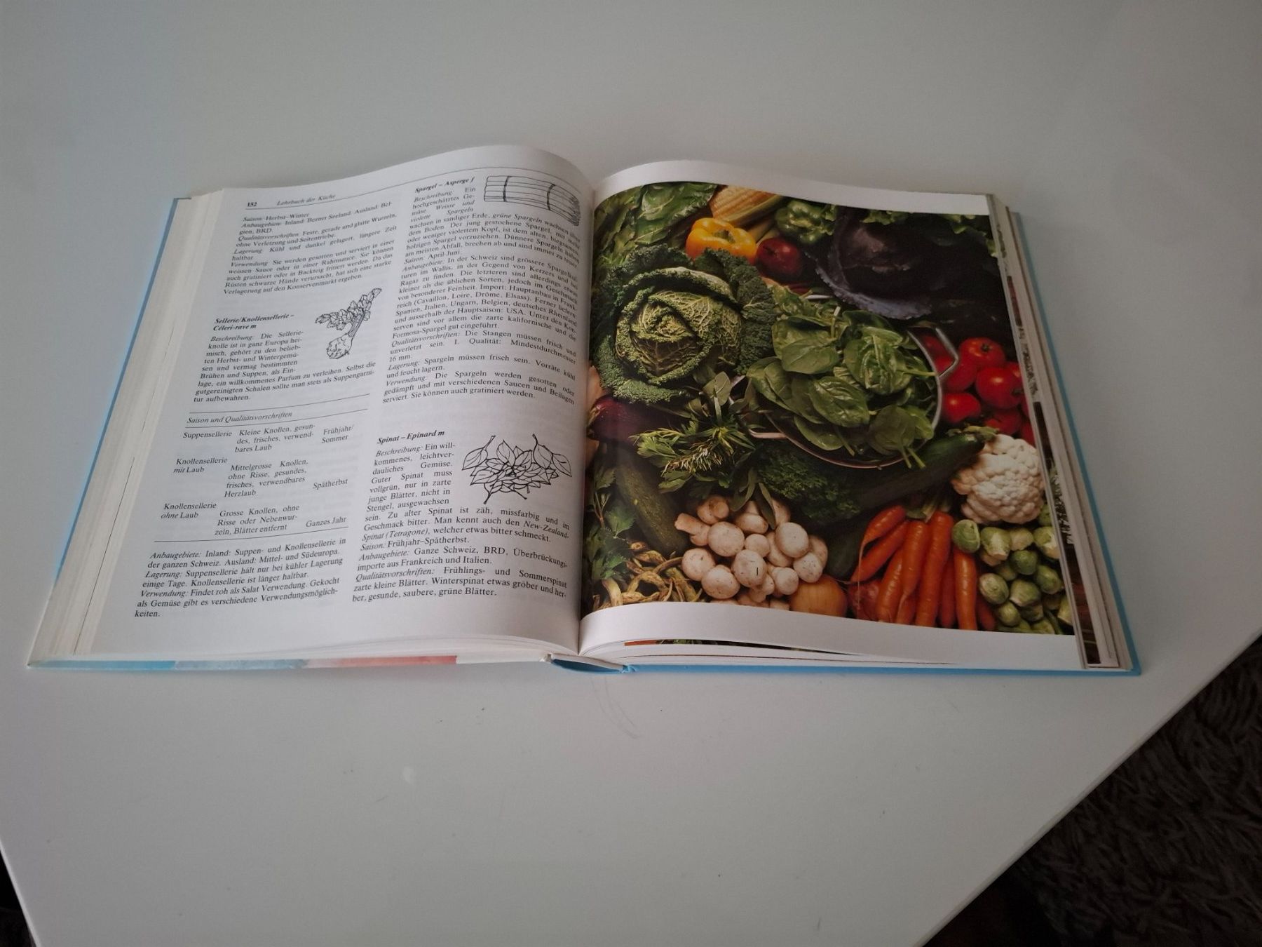 Libri: Pauli Lehr -Kochbuch – Usato da St.Gallen venduto da bpeter01 1