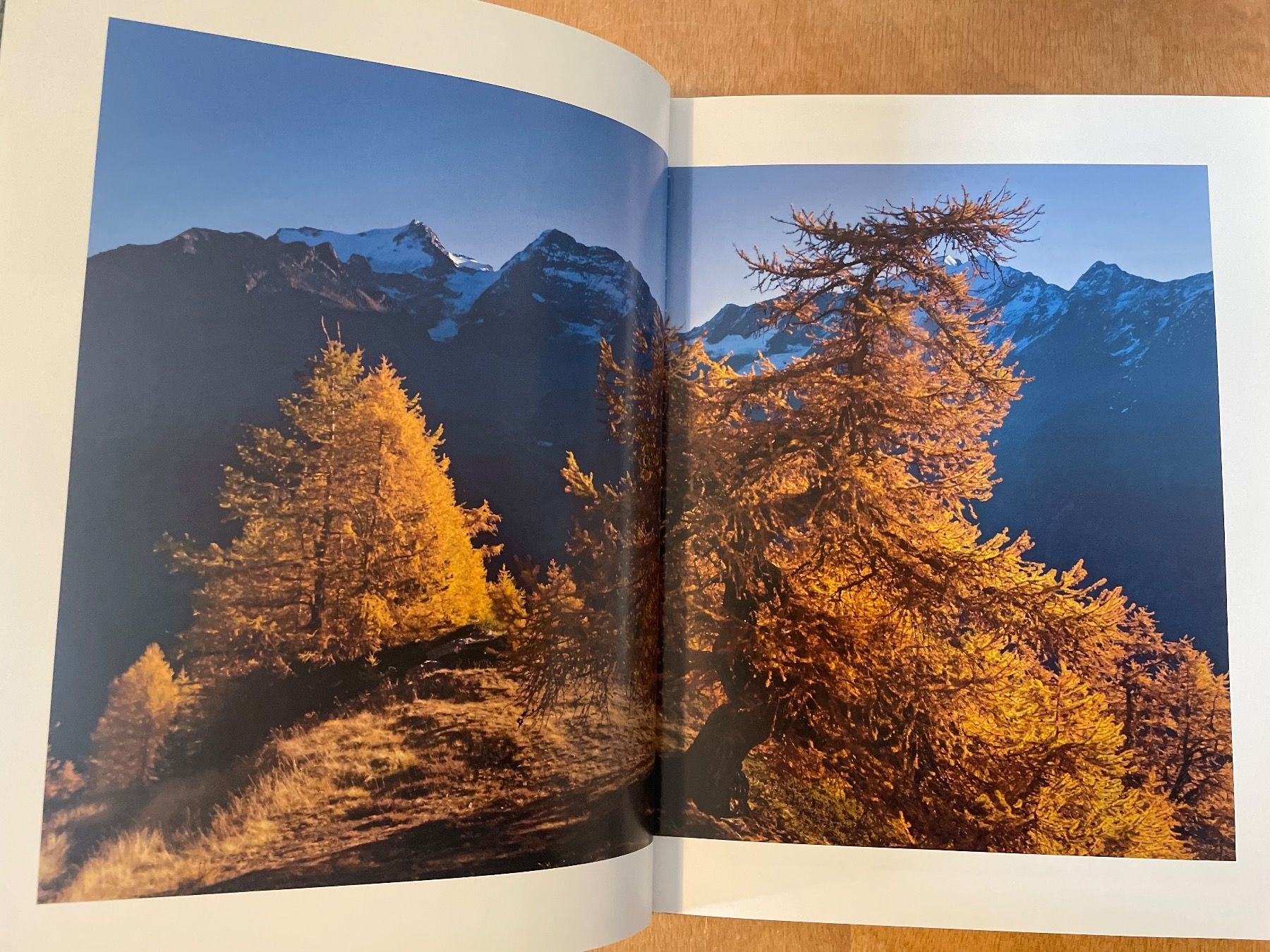 Libri: Lärchengold und Gletscherweiss – Usato da Zürich venduto da WWehrle 4