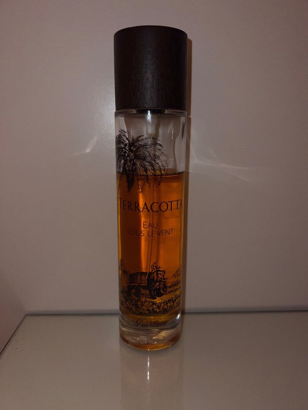 Guerlain Profumi & Eau de Toilette: Guerlain Terracotta – Usato da Gunzgen venduto da thomasbx