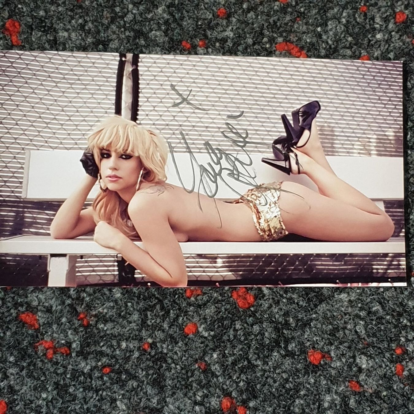 Autografi: Autogramm Lady Gaga – Usato da Dänikon ZH venduto da SarinaM0102