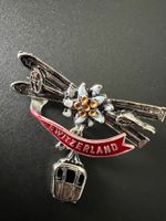 Alter Schweiz Anstecker Pin sehr schön Ski Stöcke🤩