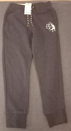 Coole, graue Jogginghose mit Dino-Print, Grösse 122/128