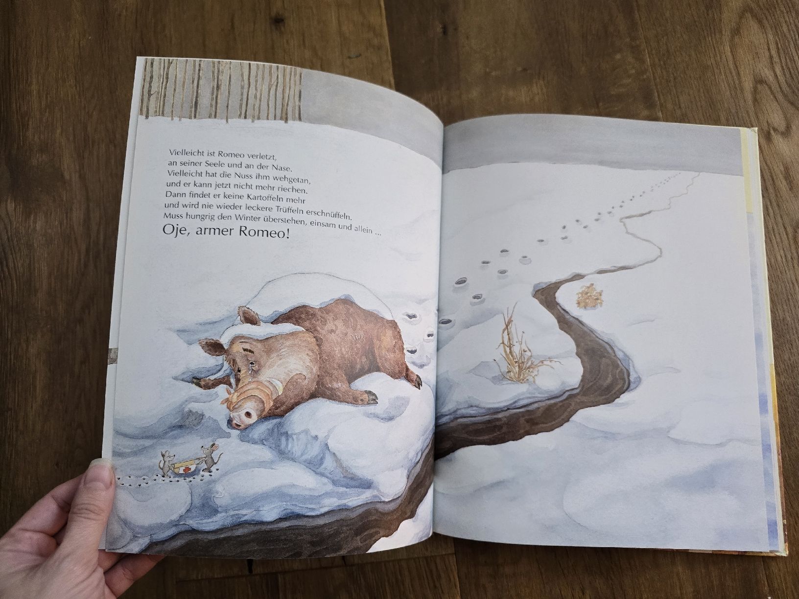 Libri: Kinderbuch "Probier's mal mit Entschuldigung!" neuwertig – Usato da Wittenbach venduto da Tigerlili 5