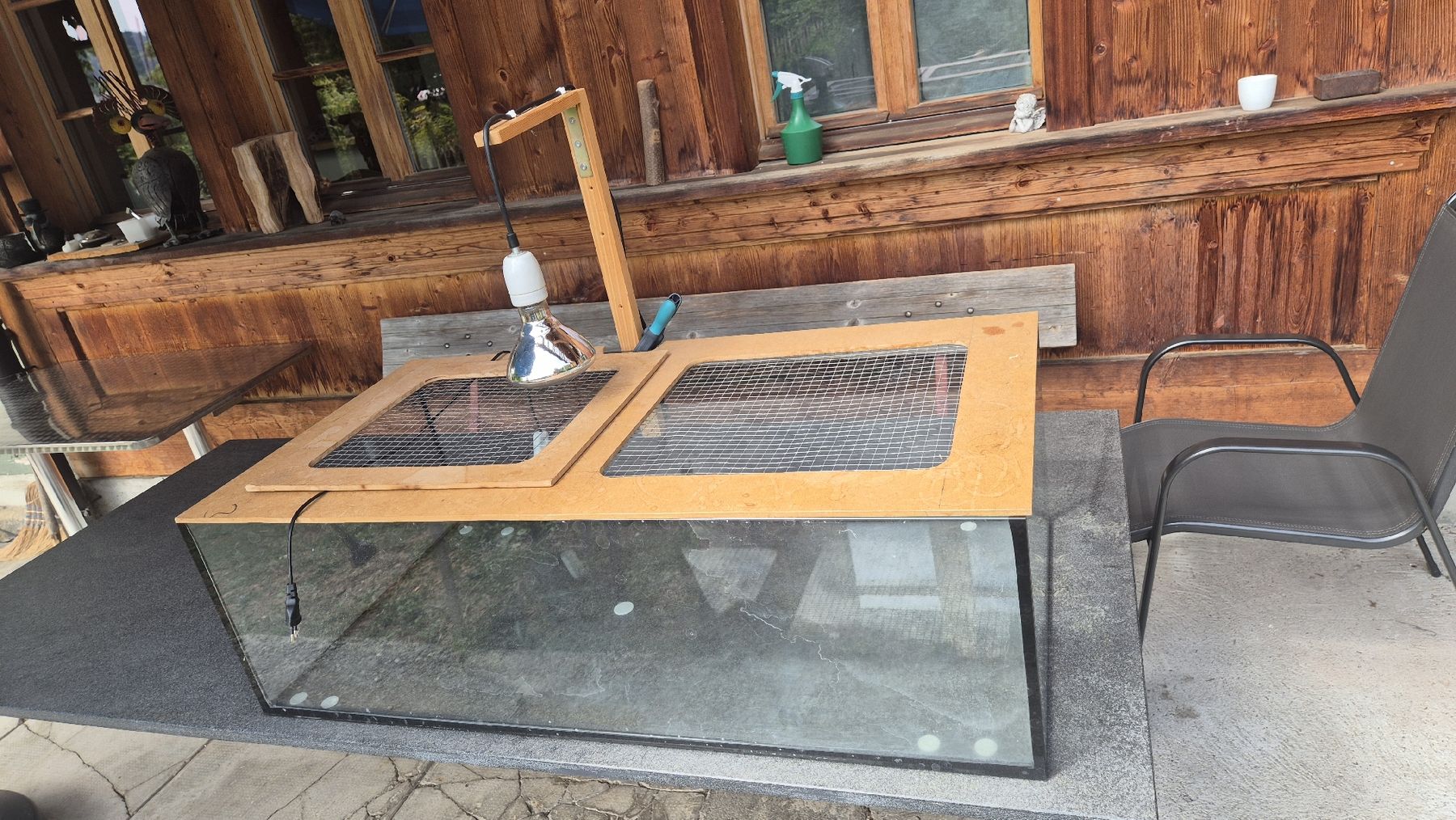 Terrario: Terrarium – Usato da Ittigen venduto da ysebahnbudeli