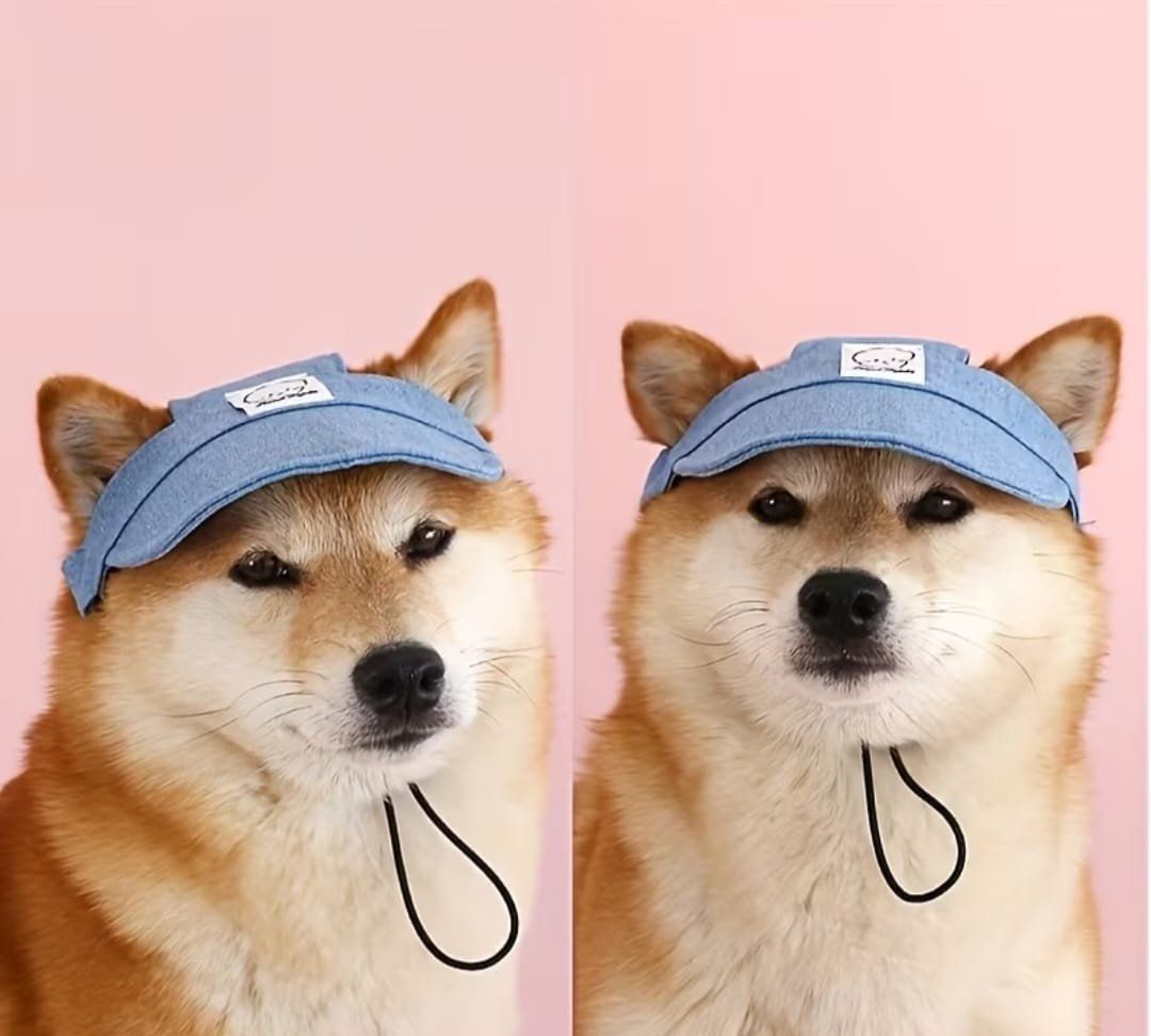 Copricapi, berretti & cappellini: Pet Baseball Cap für grosse Hunde – Nuovo e nell'imballaggio originale da Wohlen AG venduto da Schobe2004 1