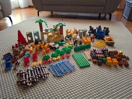 Lego duplo Zoo