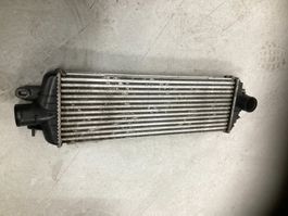 Ladeluftkühler Opel Vivaro 2.5 CDI Renault Trafic 8200219497