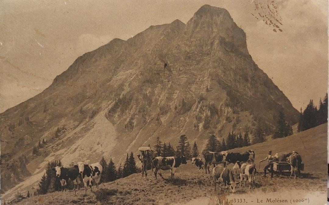 Cartoline postali: LE  MOLÉSON – Usato da Delémont venduto da Domdom1