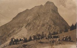 LE  MOLÉSON