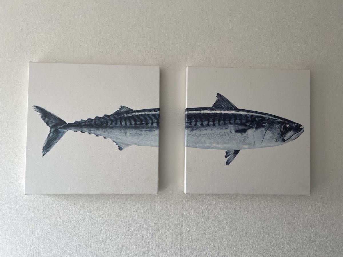 Foto & Immagini: Fisch-Bild, Leinwand, 3 Teile, 25x25cm – Usato da Frick venduto da clembou