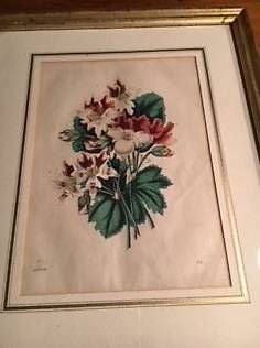 Incisioni: Originalstahlstich Blumenmotiv – Usato da Riniken venduto da ruenzi 1