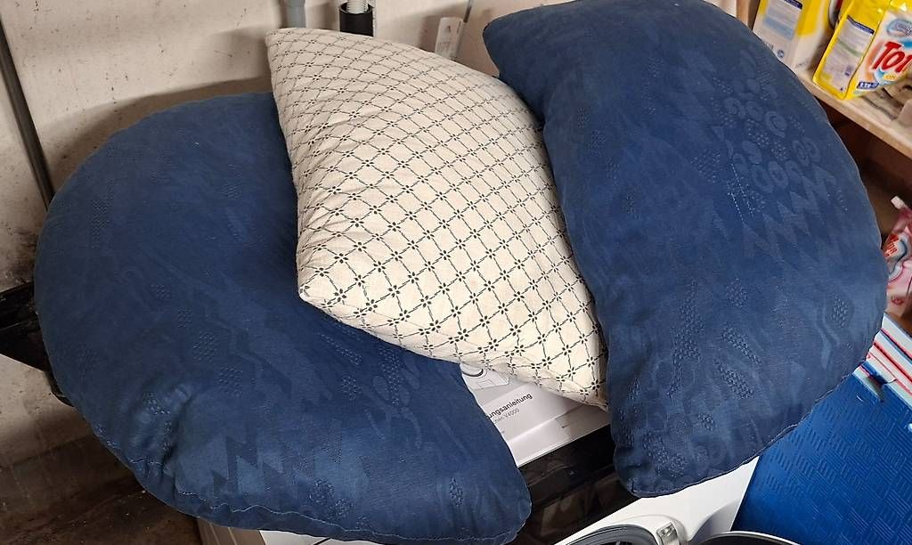 Divani: Bettsofa – Usato da Bern venduto da tasau 2