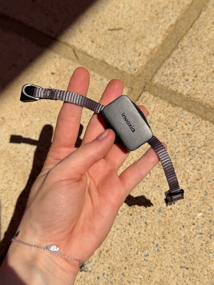 Sonstiges Tierzubehör: Collier GPS Invoxia Pet Tracker / LWT 200 – Neu und originalverpackt aus Chêne-Bougeries von Kateryna_kho 1