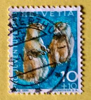 Nr.J 211 GESTEMPELT Alpenmurmeltier 1965  