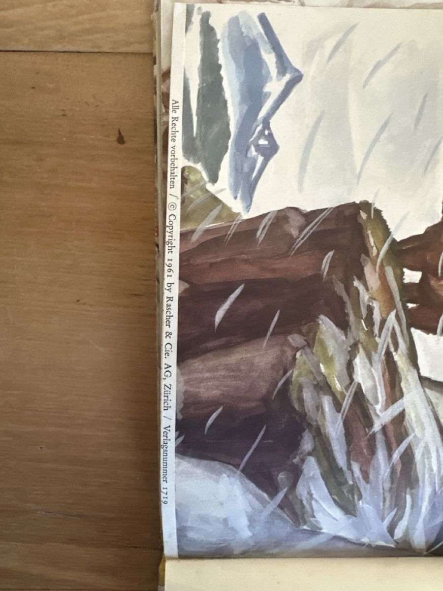 Libri: Kinderbuch Klassiker: BRUMM der braune Bär von Inga Borg – Usato da Frauenfeld venduto da aluma14 3