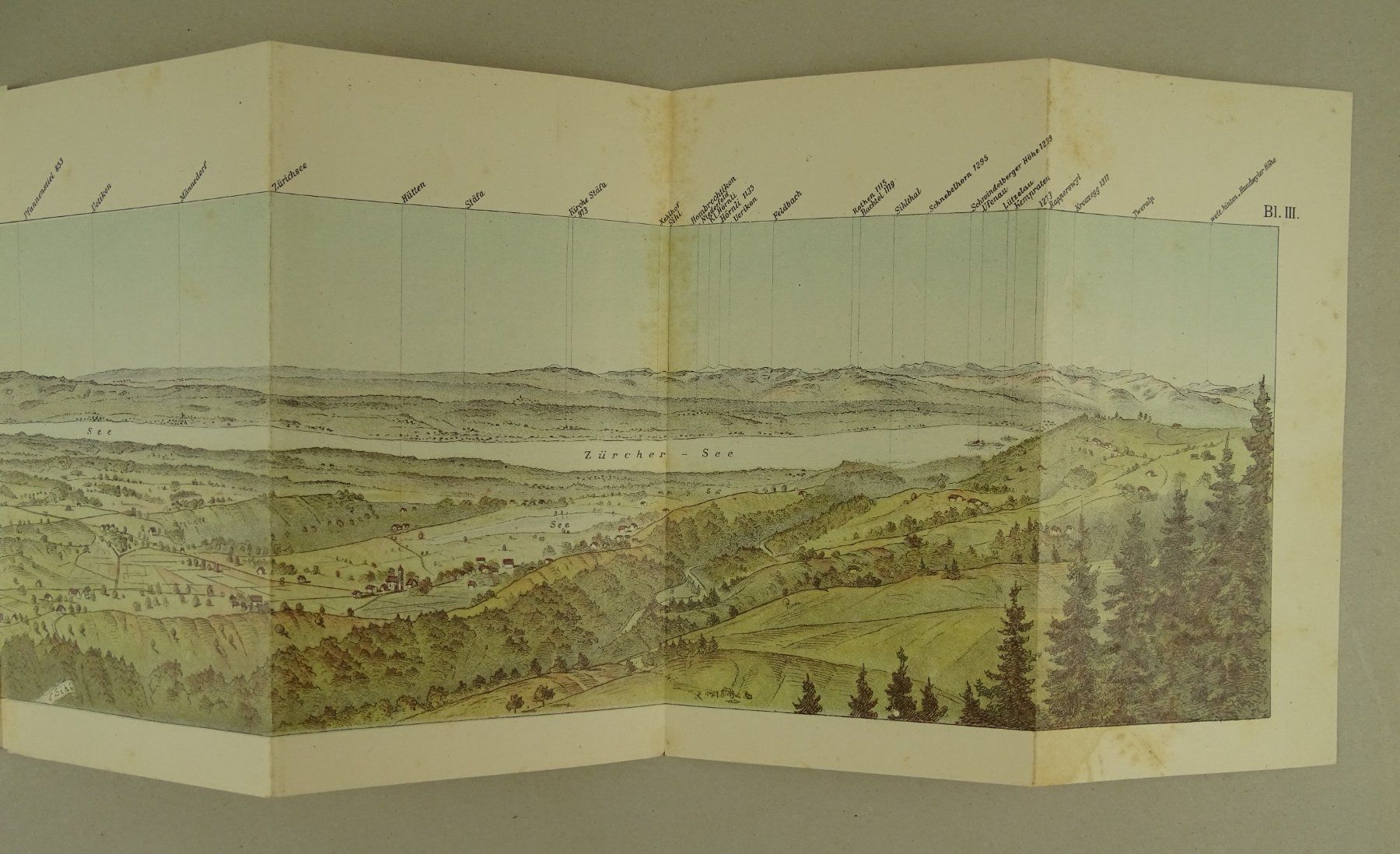 Libri: PANORAMA VOM GOTTSCHALKENBERG 1886 – Usato da Grüningen venduto da Kartensammler 8