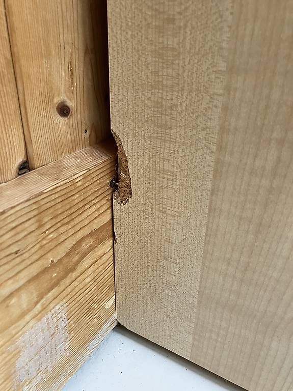 Schränke: Schrank mit Schuhbladen – Gebraucht aus Meilen von flupk 3