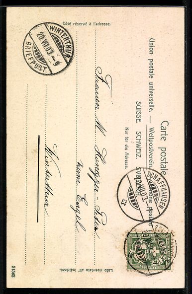 Cartoline postali: AK Schaffhausen, Schwabenthor – Usato da Berlin venduto da bartko-reher 1