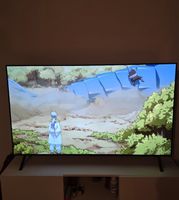 LG TV akzeptabler Zustand