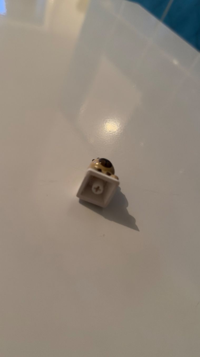 Tastiere: Capybara Keycap (Süss, lustig, einfach klasse) – Nuovo (secondo la descrizione) da Schindellegi venduto da SimplyBuy-CH 2