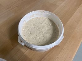 Bio Sauerteig (Weizen) inkl. Anleitung